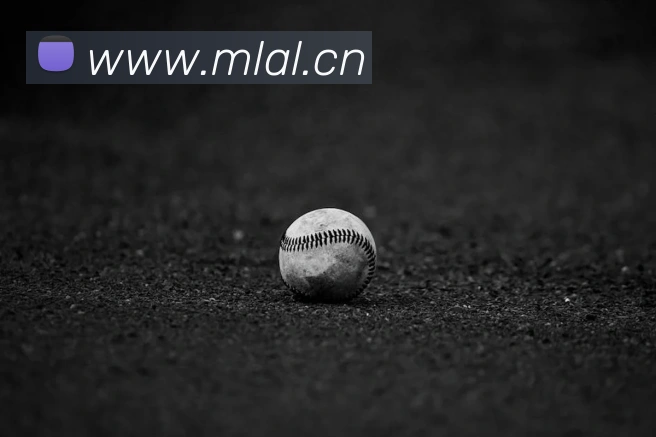 开云在线官网登录服务体系